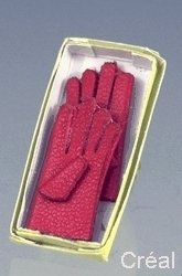 Handschuhe in Box