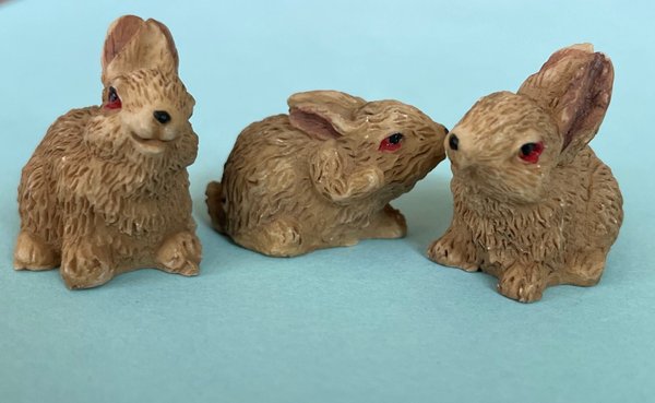 3 Kaninchen
